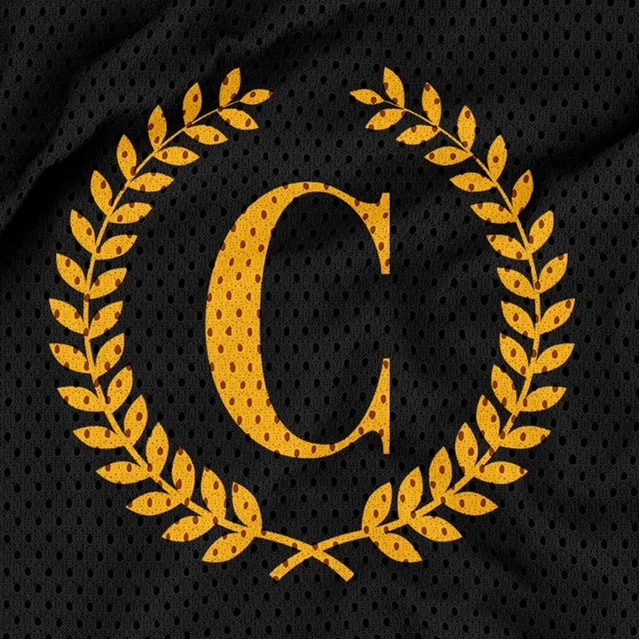 Camisetas personalizadas