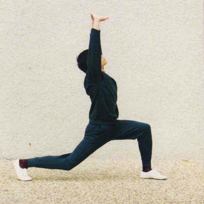 Taoist Yoga