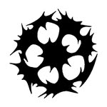 NERIAME