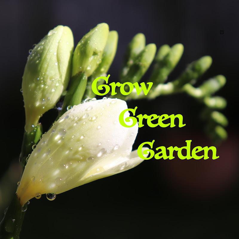 Grow Green Garden