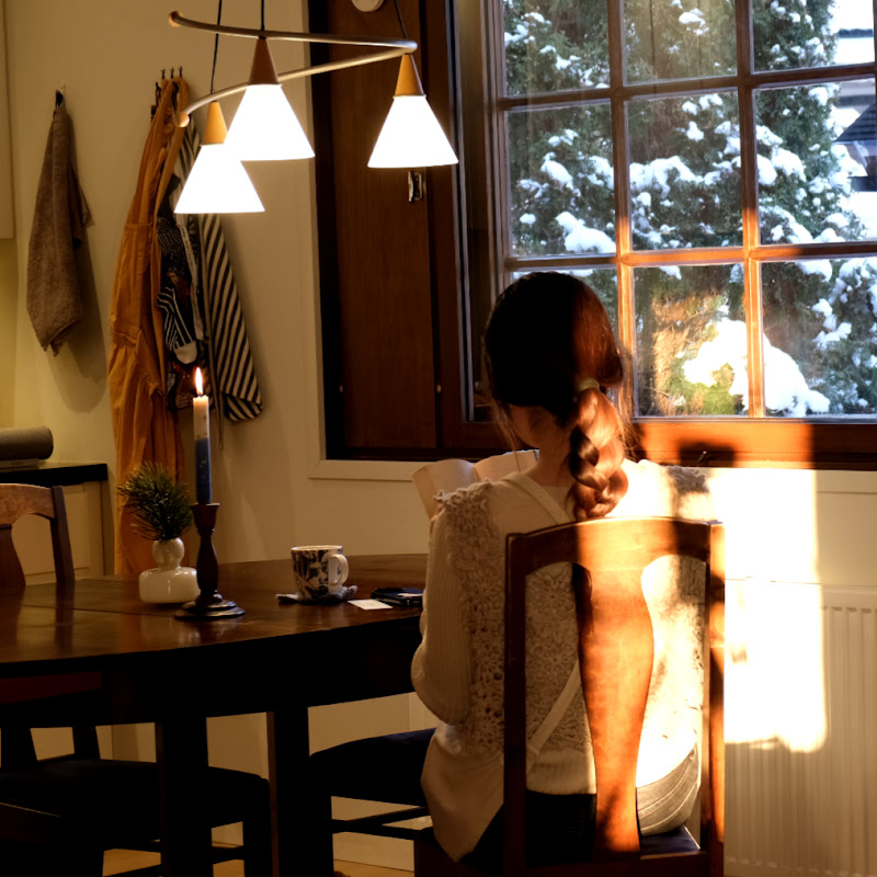 北欧、かもめと暮らす