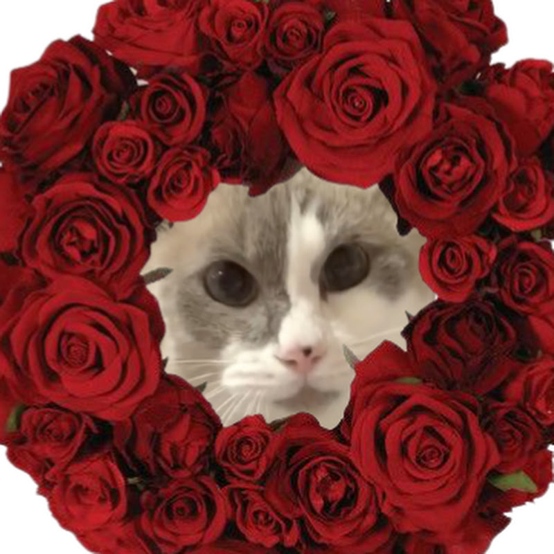 ムーちゃんsound 