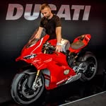 Jarein Trasviña | PANIGALERS