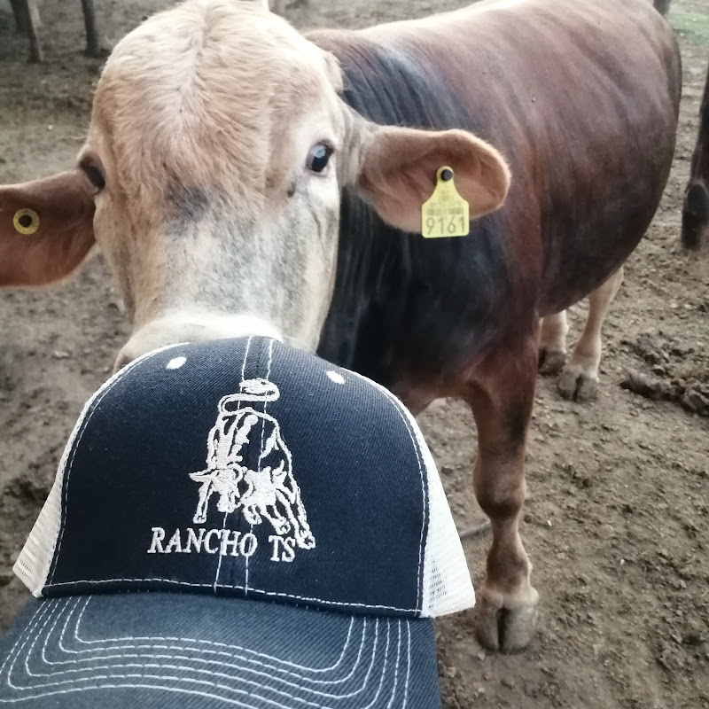 Rancho TS