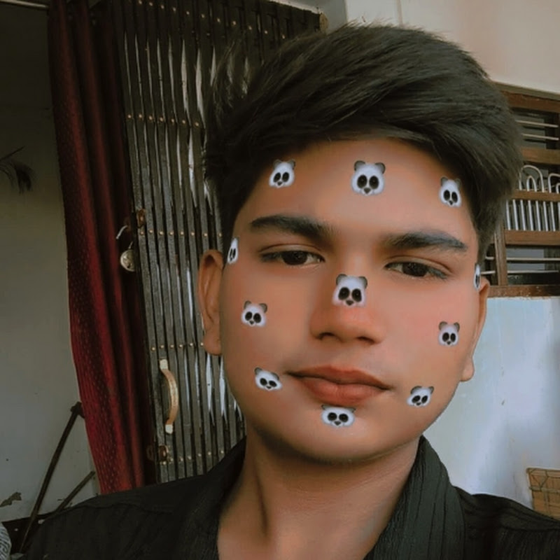 Ansh vlogs 