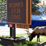 Murphy's River Lodge