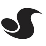 DVS Shoe Company