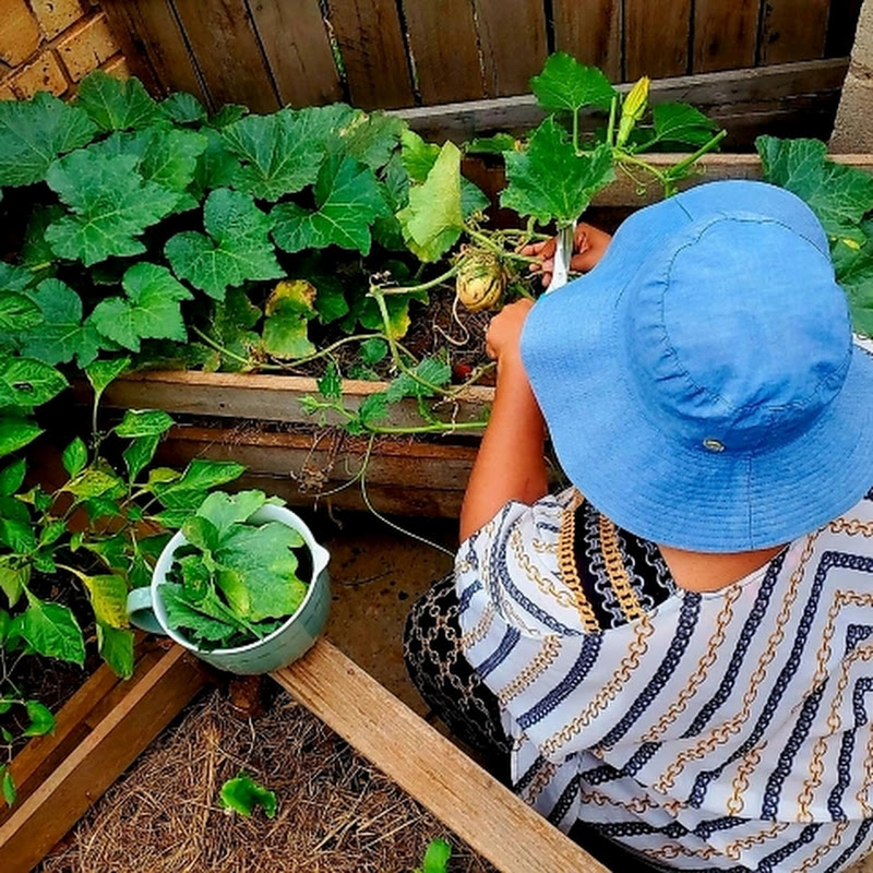 Aspiring Homemaker27