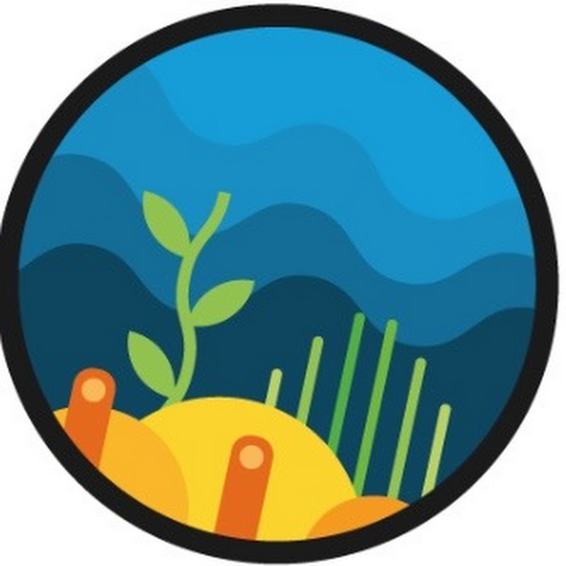 HIHUB.TECH🌎Health Innovation Leaders🧬