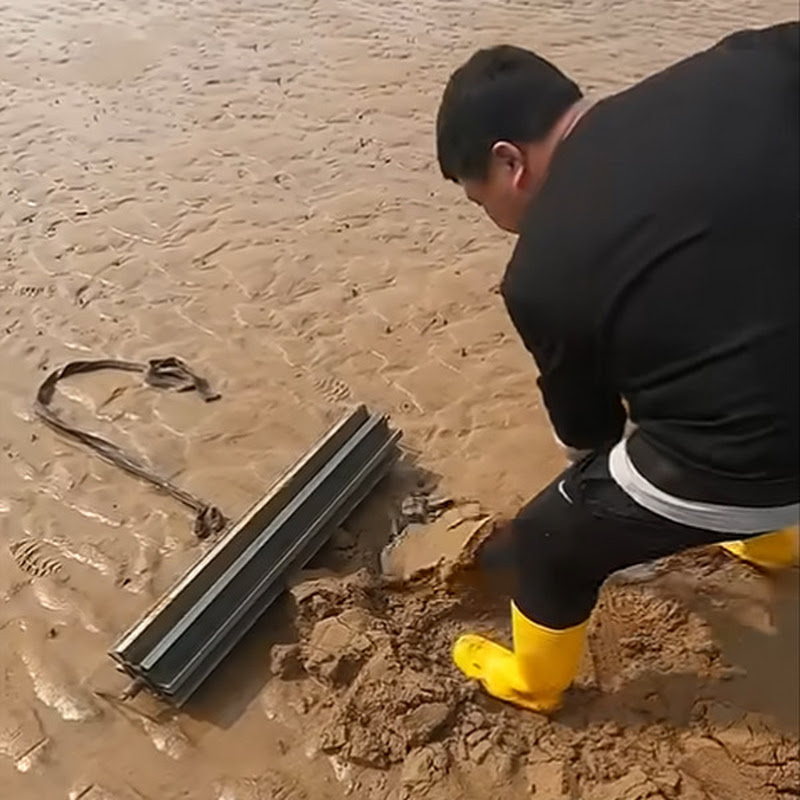 Beach Catching
