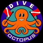 Octopus Dive Indonesia