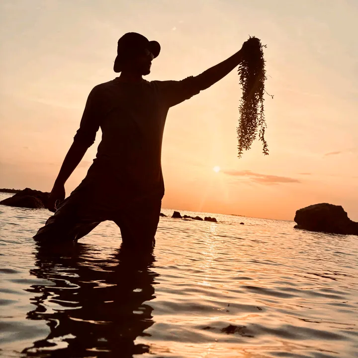 thefishguyDhamsara
