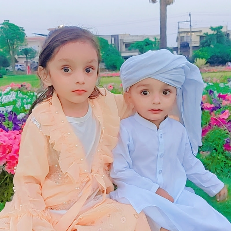 Madni Mahnoor Shorts