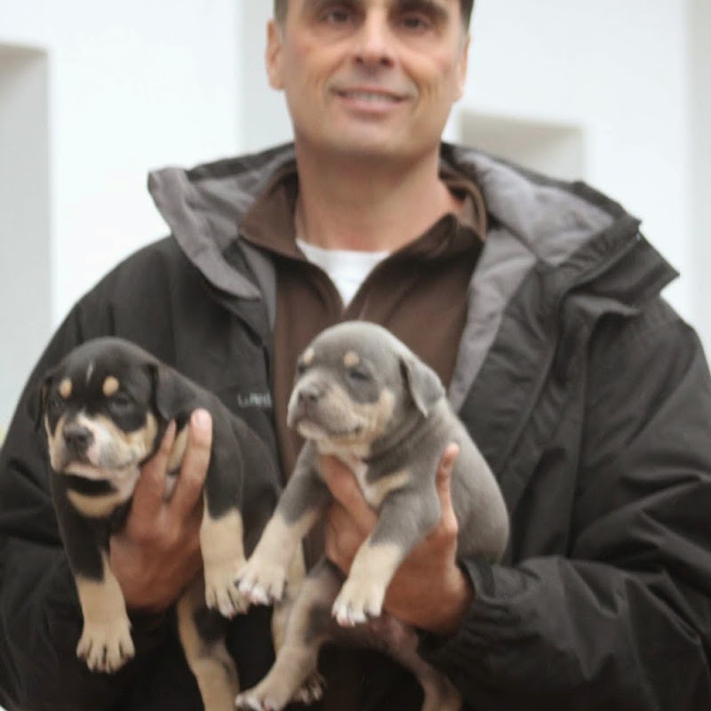 PETCLUBE AMIGO MEDICINA VETERINÁRIA & AGRO