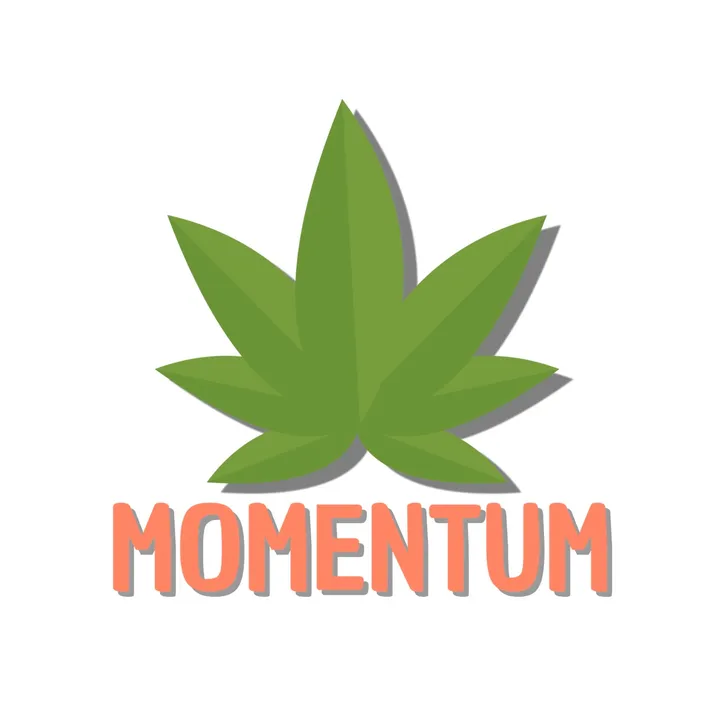 momentumsnus