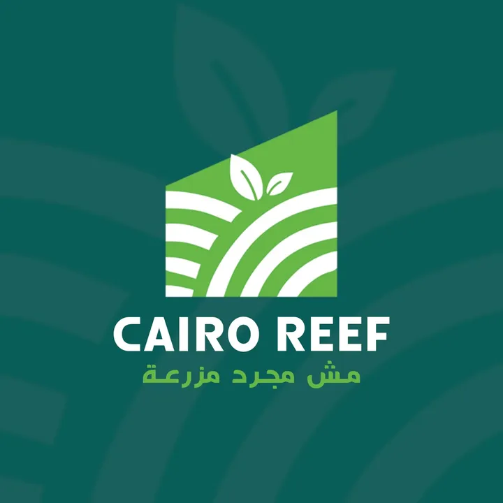 cairo reef