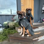 Nickis and Doris