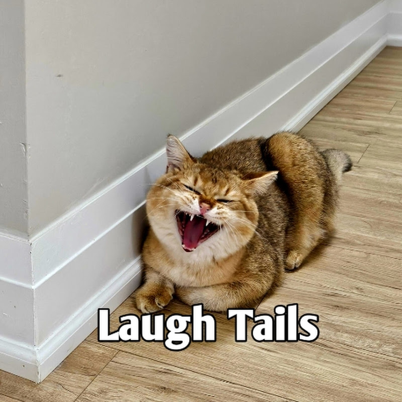 Laugh Tails USA