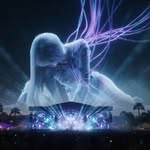 Lisa fanaccount