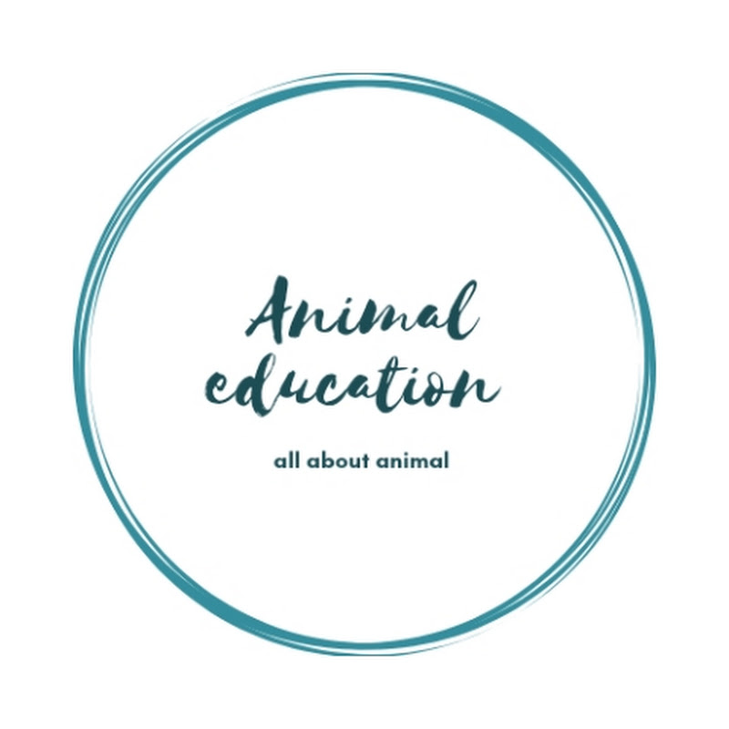 Animal_Education