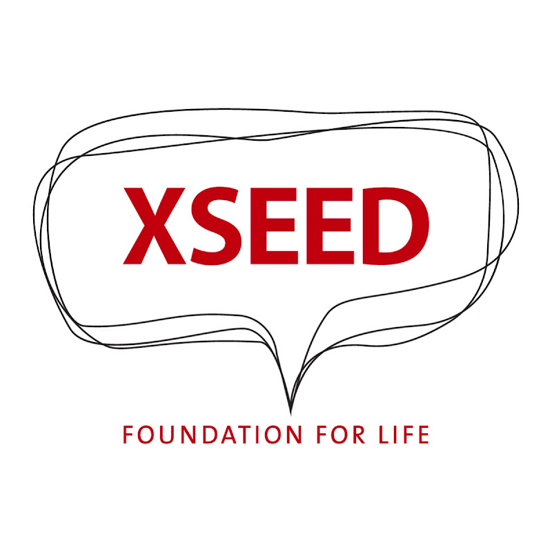 XSEED Education