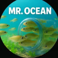 Mr Ocean .미스터 오션