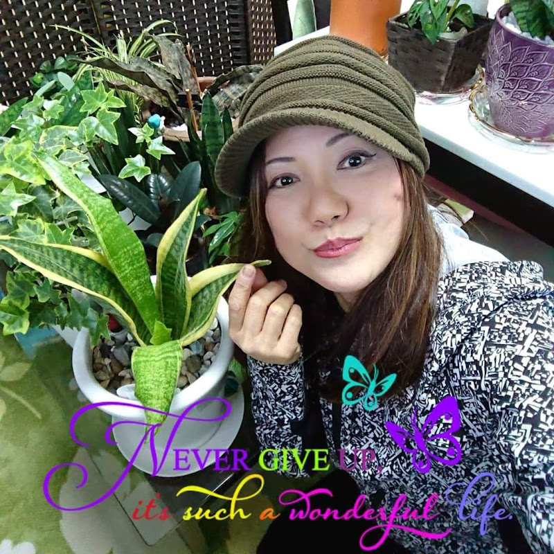 JOJACKJAPAN LOLAMIYAZAKI