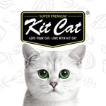 Kit Cat International Pte Ltd