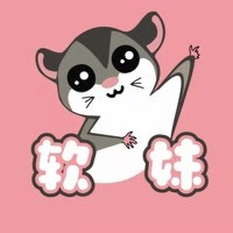 Ruanmei's sugar glider can fly