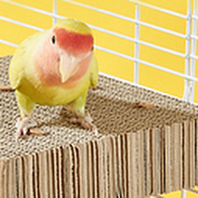 Birdcagelab