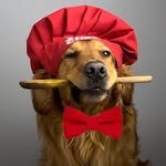 Tony & Mahsa Cooking