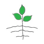 Jo Anne’s Place Health Foods 🇨🇦