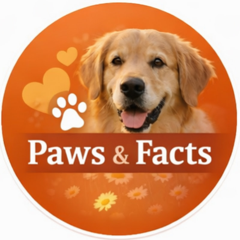 PawsFacts