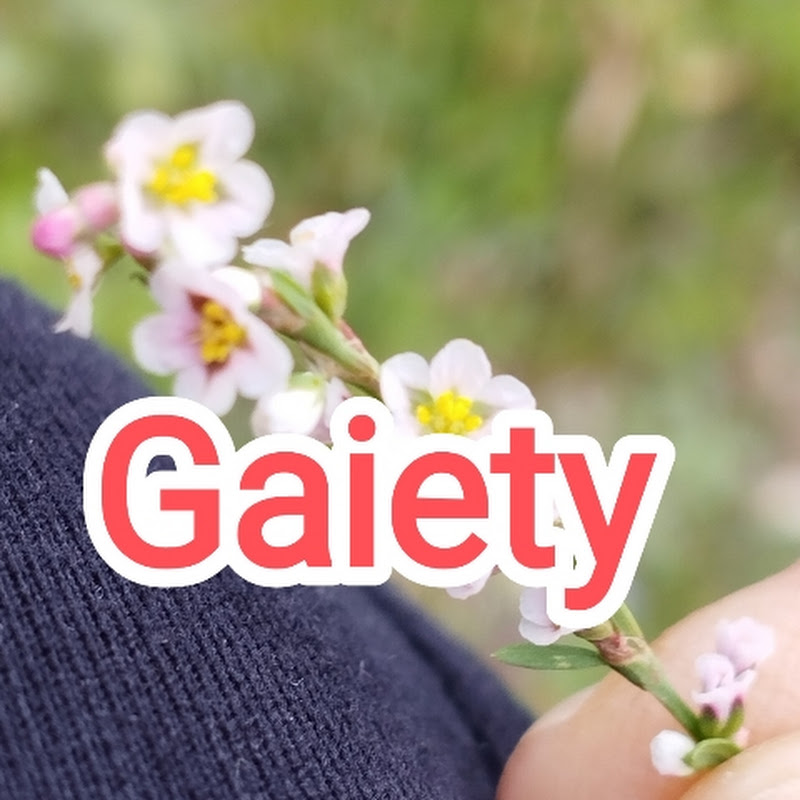 Gaiety Γεύσεις Ευθυμίας 