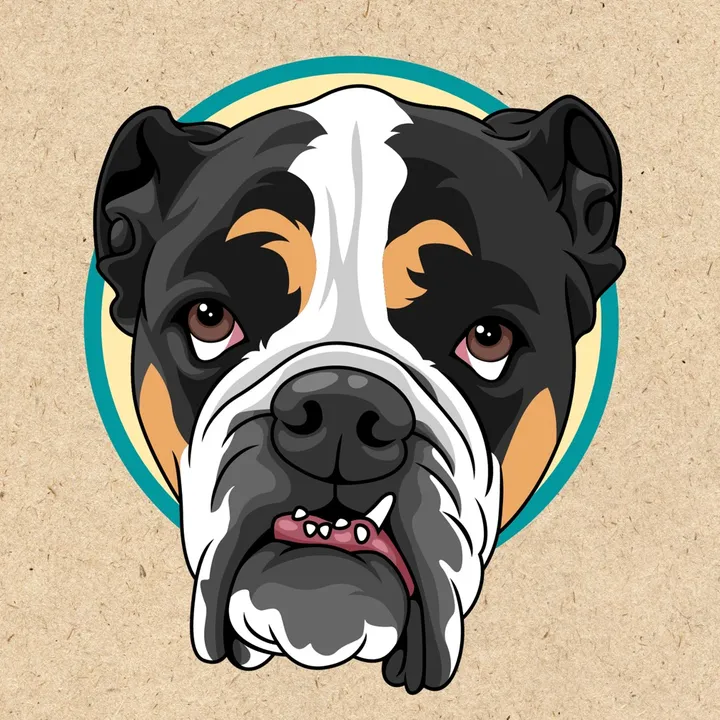 Monty’s Bags 🇨🇦