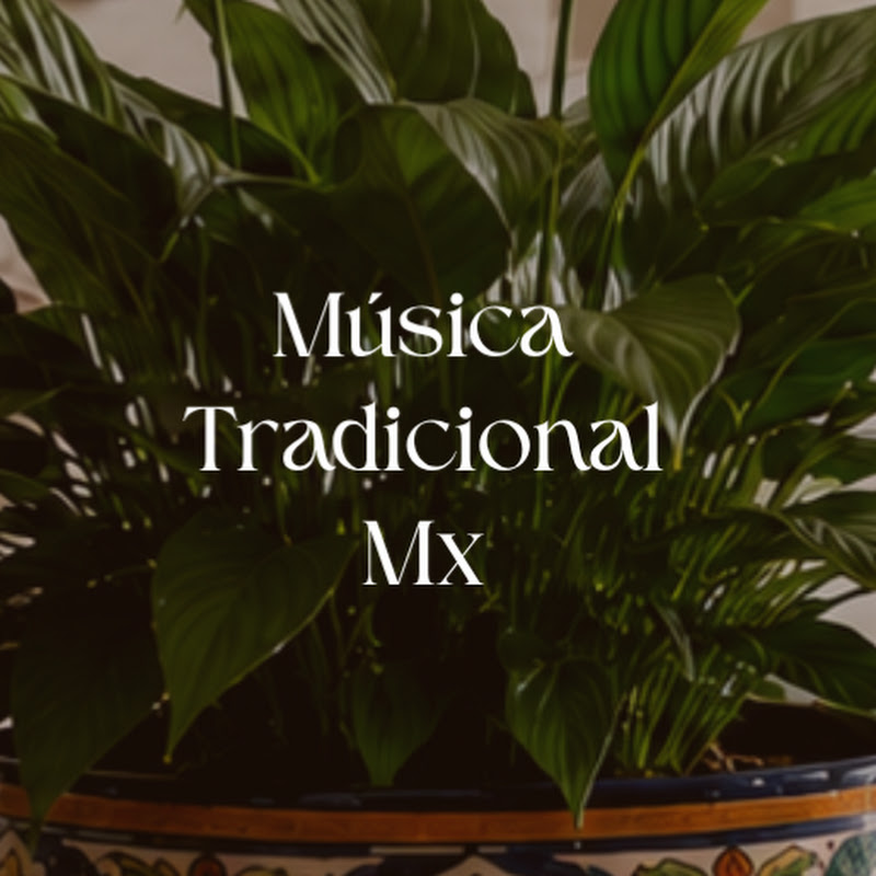 Música Tradicional Mx