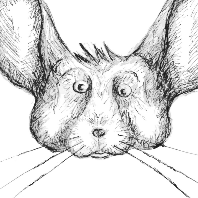 Chris Chinchilla