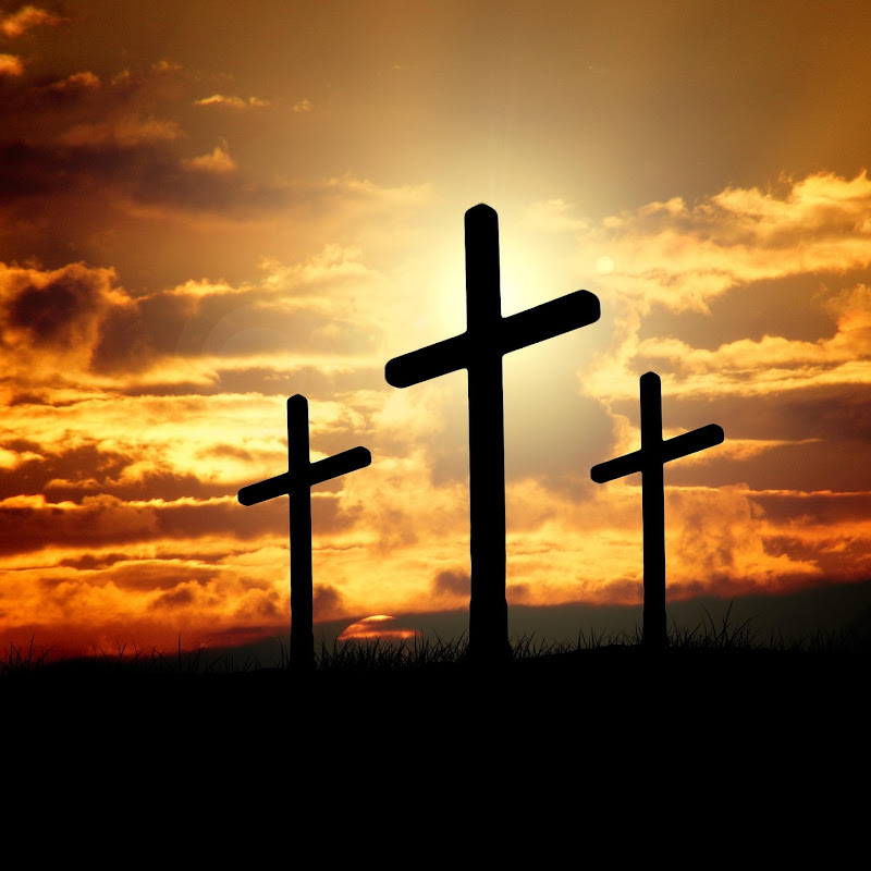 Daily Divine Grace 