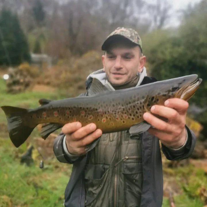 Relax go fishing