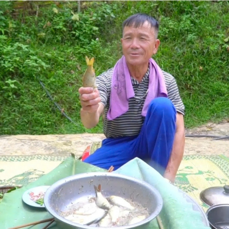 Mạnh Hòa Channel
