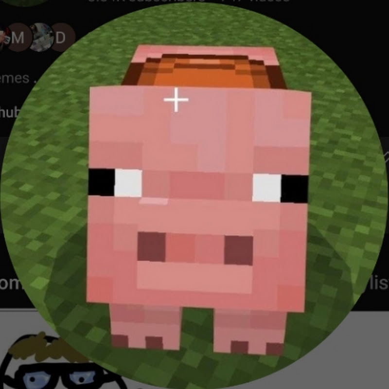pinniporker