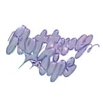 𝗳𝗹𝘂𝘁𝘁𝗲𝗿𝘆 𝘁𝗶𝗽𝘀 ★ 𝗻𝗮𝗶𝗹 𝗮𝗿𝘁𝗶𝘀𝘁 ☘︎ ㅤᵕ̈