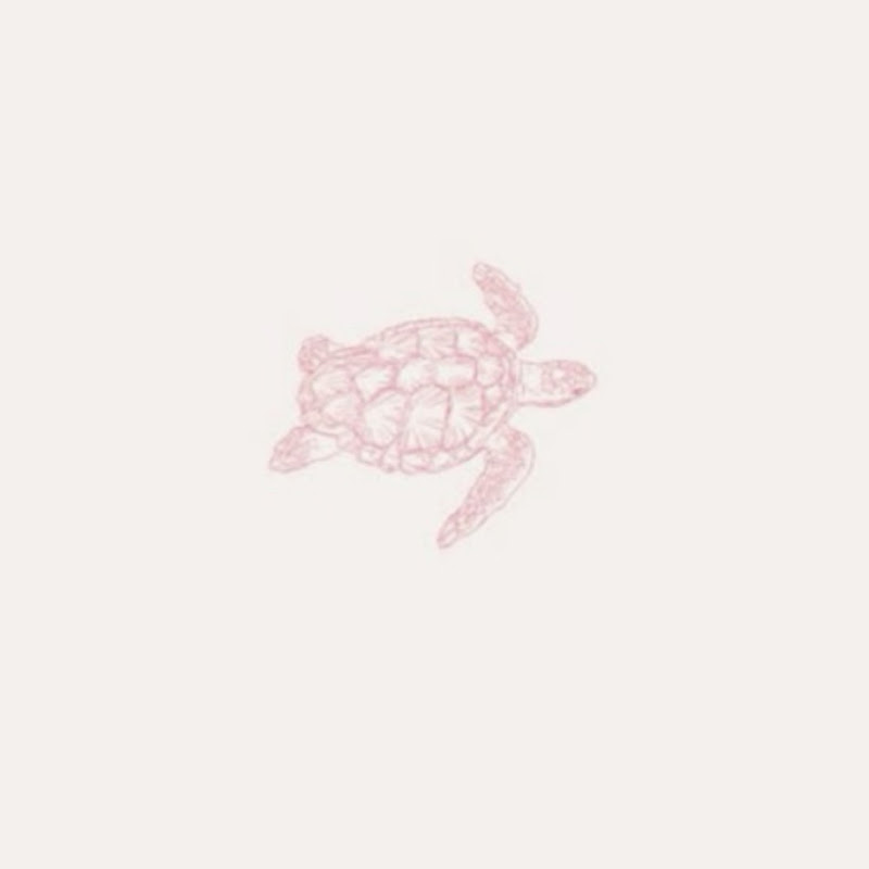 It’s Cuts1e 🐚💕