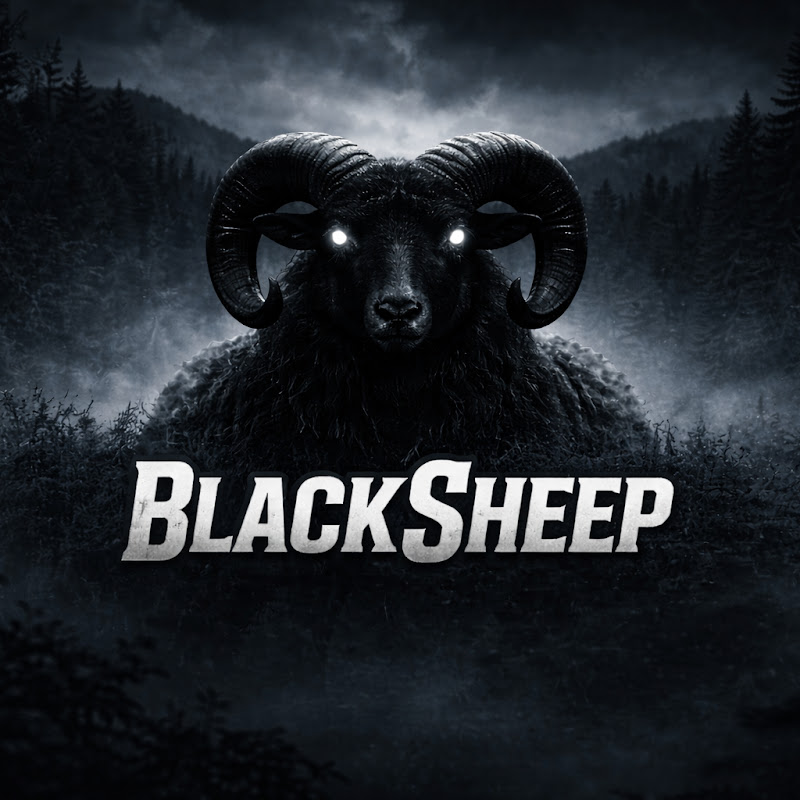 BlackSheep1004