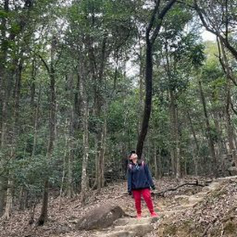 Lakwatserang Babae