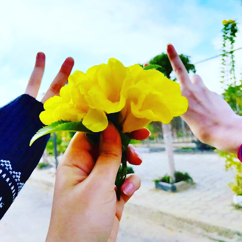 كنزي ستارز - Kenzie Stars