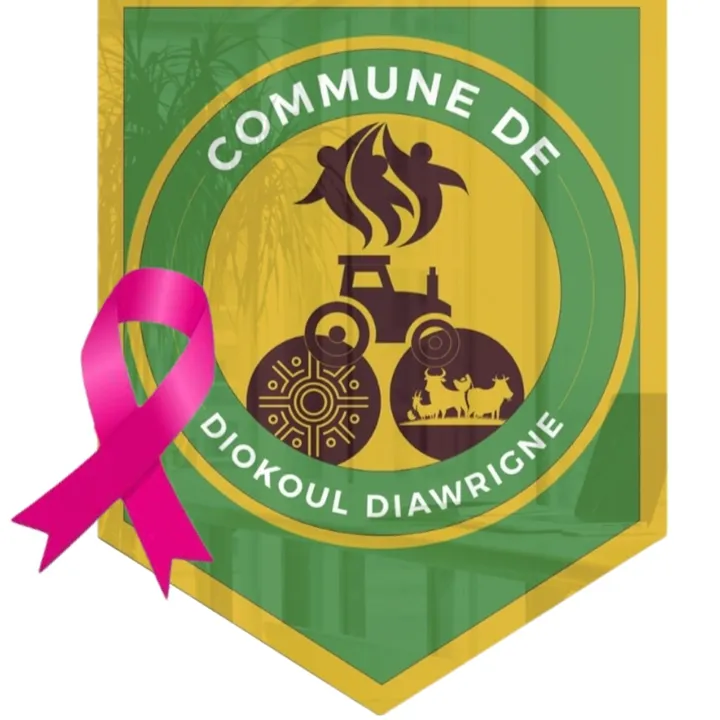 LA COMMUNE DE DIOKOUL 🇸🇳