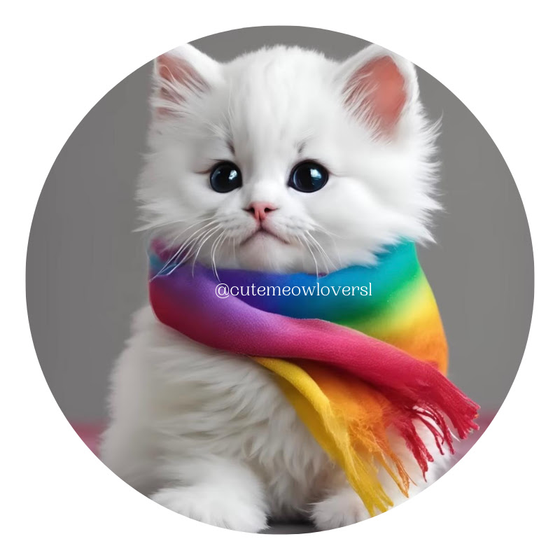 Cute Meow Lovers
