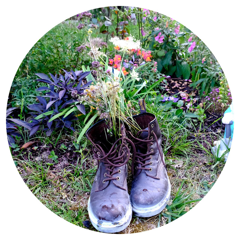 Stéphanie - Ma vie rockmantisée