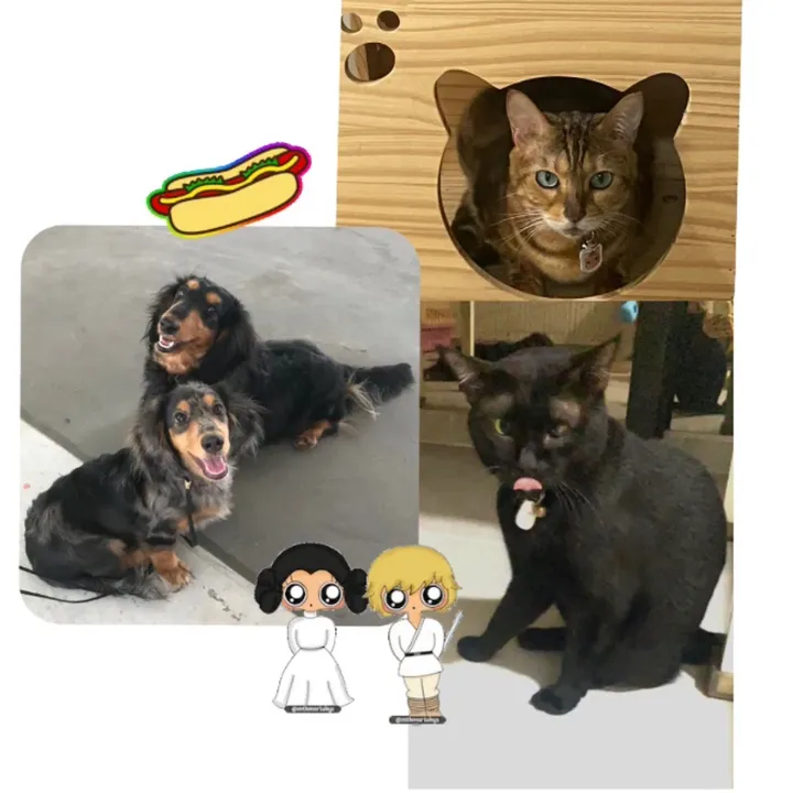 Blackbros & Princess